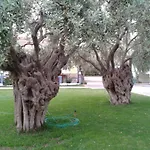 Makedonia Aparthotel 4*