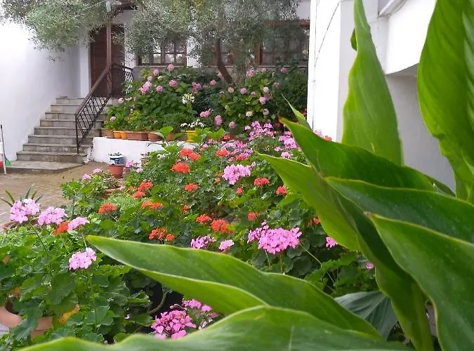 Makedonia 4* 波托什