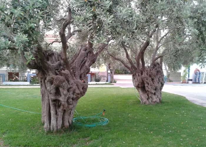 Makedonia 公寓式酒店 4*